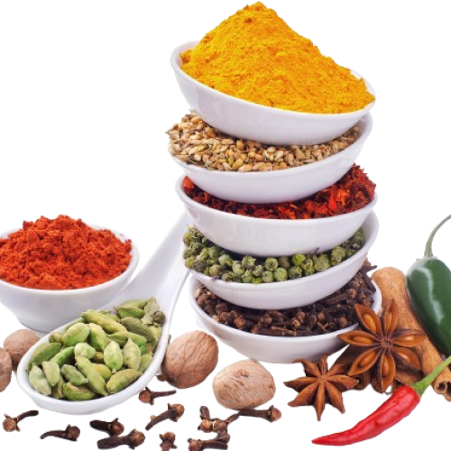 998655-removebg-preview